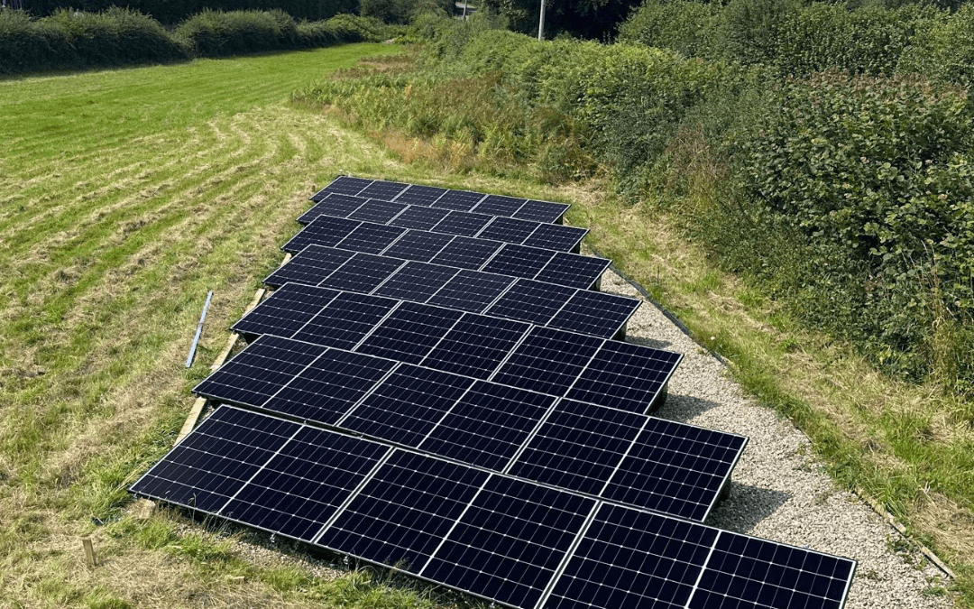 Harnessing the Sun: Exploring Ground-Mounted Solar Panels